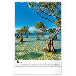 Trees, képes falinaptár 2026