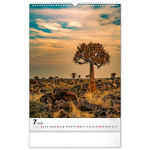 Trees, képes falinaptár 2026