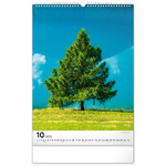 Trees, képes falinaptár 2026