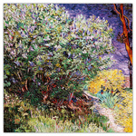 Vincent van Gogh, képes lemeznaptár 2026