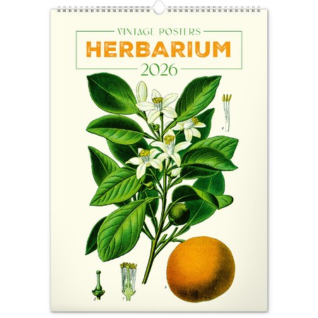 Vintage Posters - Herbarium, képes falinaptár 2026
