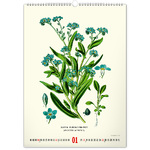 Vintage Posters - Herbarium, képes falinaptár 2026 Vintage Posters - Herbarium, képes falinaptár 2026