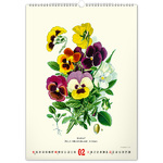 Vintage Posters - Herbarium, képes falinaptár 2026 Vintage Posters - Herbarium, képes falinaptár 2026