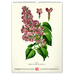 Vintage Posters - Herbarium, képes falinaptár 2026 Vintage Posters - Herbarium, képes falinaptár 2026