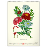Vintage Posters - Herbarium, képes falinaptár 2026 Vintage Posters - Herbarium, képes falinaptár 2026