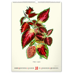 Vintage Posters - Herbarium, képes falinaptár 2026 Vintage Posters - Herbarium, képes falinaptár 2026