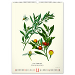 Vintage Posters - Herbarium, képes falinaptár 2026 Vintage Posters - Herbarium, képes falinaptár 2026