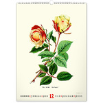 Vintage Posters - Herbarium, képes falinaptár 2026 Vintage Posters - Herbarium, képes falinaptár 2026