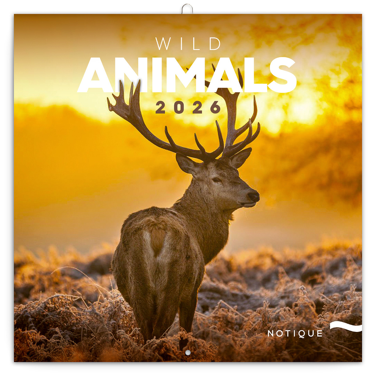 Wild Animals, képes lemeznaptár 2026 Wild Animals, képes lemeznaptár 2026