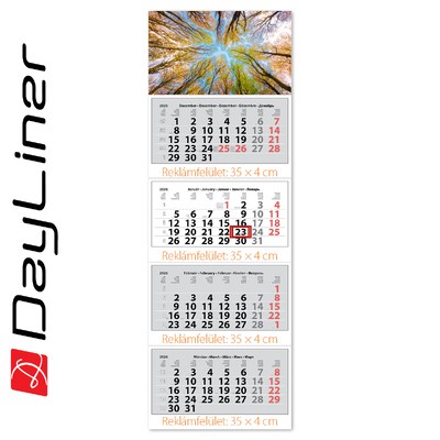 Szuper Maxi Classic, 4 tömbös 4 hónapos speditőr naptár - Erdő fejrésszel