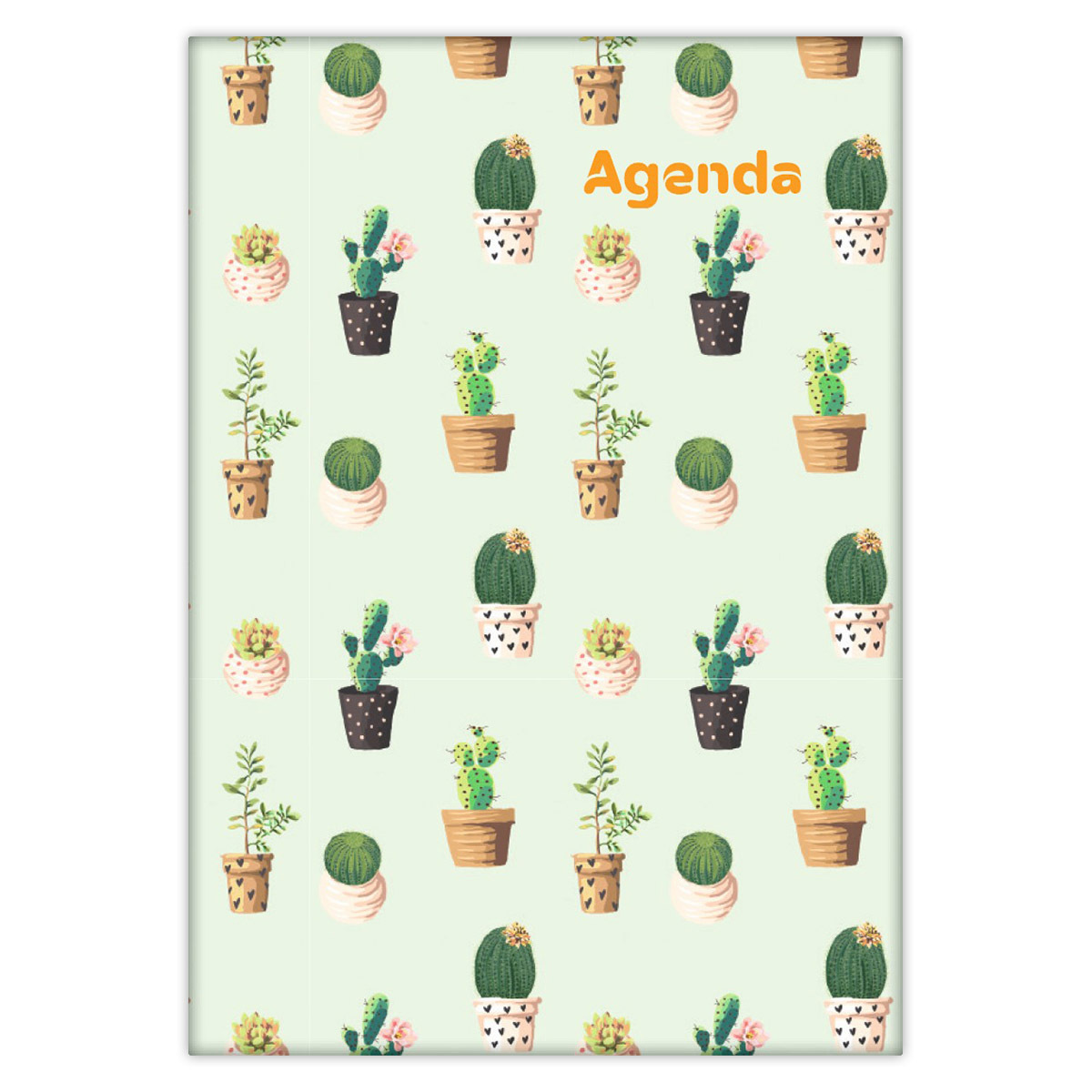 Colors, A5 napi beosztású agenda, Cactus Colors, A5 napi beosztású agenda, Cactus