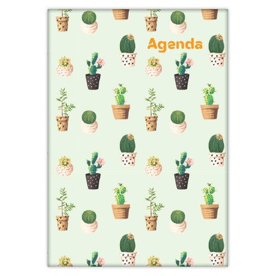 Colors, A5 napi beosztású agenda, Cactus