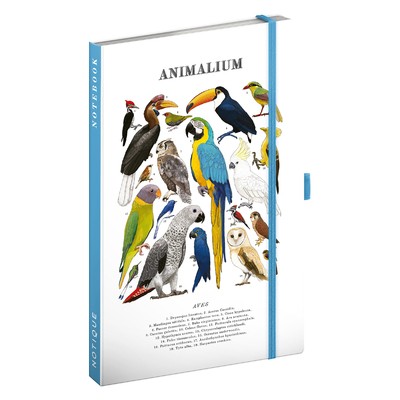 Animalium - Birds, keménytáblás vonalas notesz, 13x21 cm