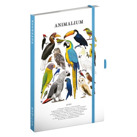 Animalium - Birds, keménytáblás vonalas notesz, 13x21 cm