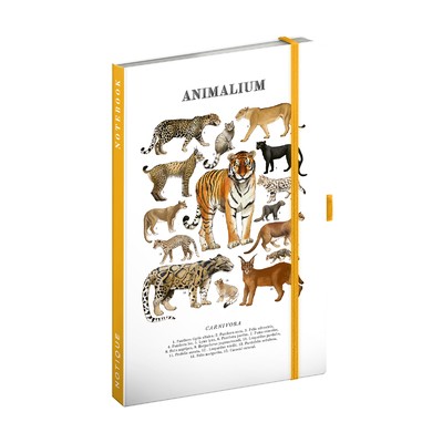 Animalium - Felines, keménytáblás vonalas notesz, 13x21 cm