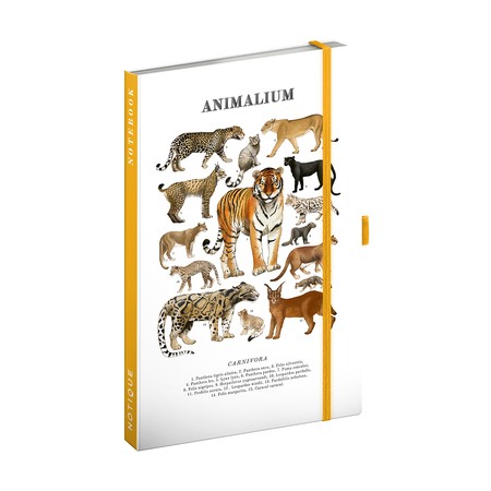 Animalium - Felines, keménytáblás vonalas notesz, 13x21 cm