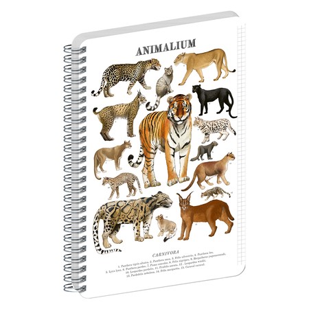 Animalium, spirálos, négyzethálós notesz - Felines, A5