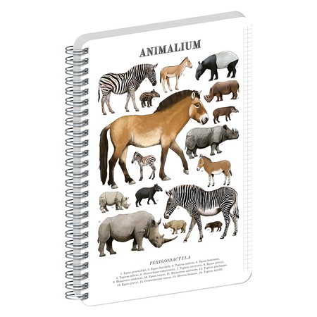 Animalium, spirálos, négyzethálós notesz - Perissodactyls, A4