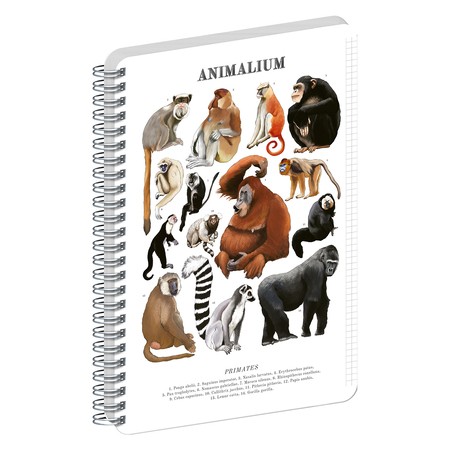 Animalium, spirálos, négyzethálós notesz - Primates, A5