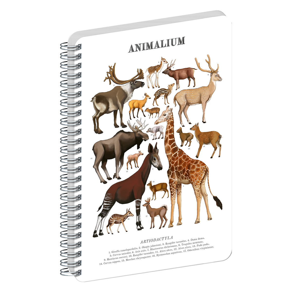 Animalium, spirálos, üres notesz - Artiodactyls, A4 Animalium, spirálos, üres notesz - Artiodactyls, A4