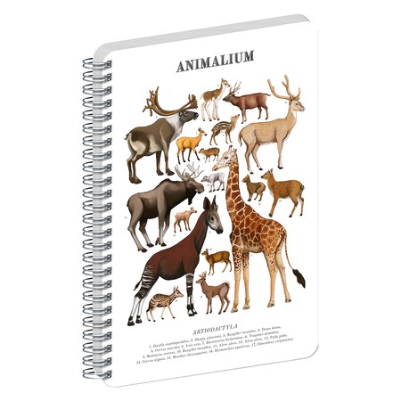 Animalium, spirálos, üres notesz - Artiodactyls, A4