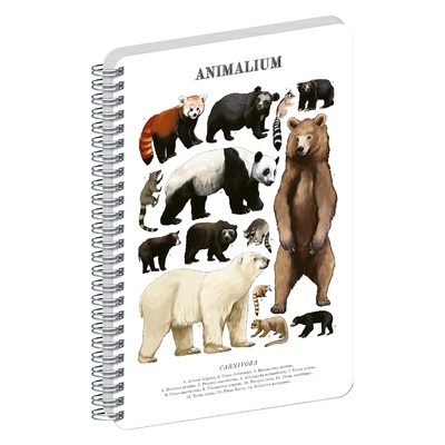Animalium, spirálos, üres notesz - Bears, A4