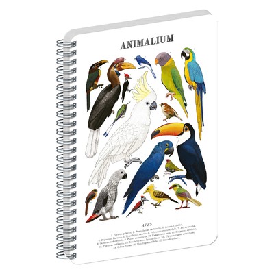 Animalium, spirálos, üres notesz - Birds, A4
