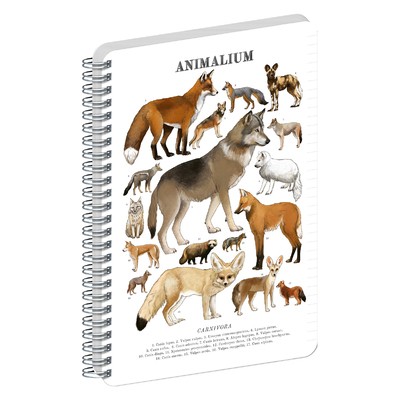 Animalium, spirálos, vonalas notesz - Canines, A5