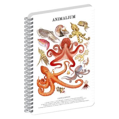 Animalium, spirálos, vonalas notesz - Cephalopods, A5