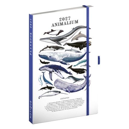 Marine Life, Agenda és notesz 2027, 13x21 cm