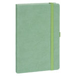 Notique, keménytáblás vonalas notesz, Green, 13x21 cm