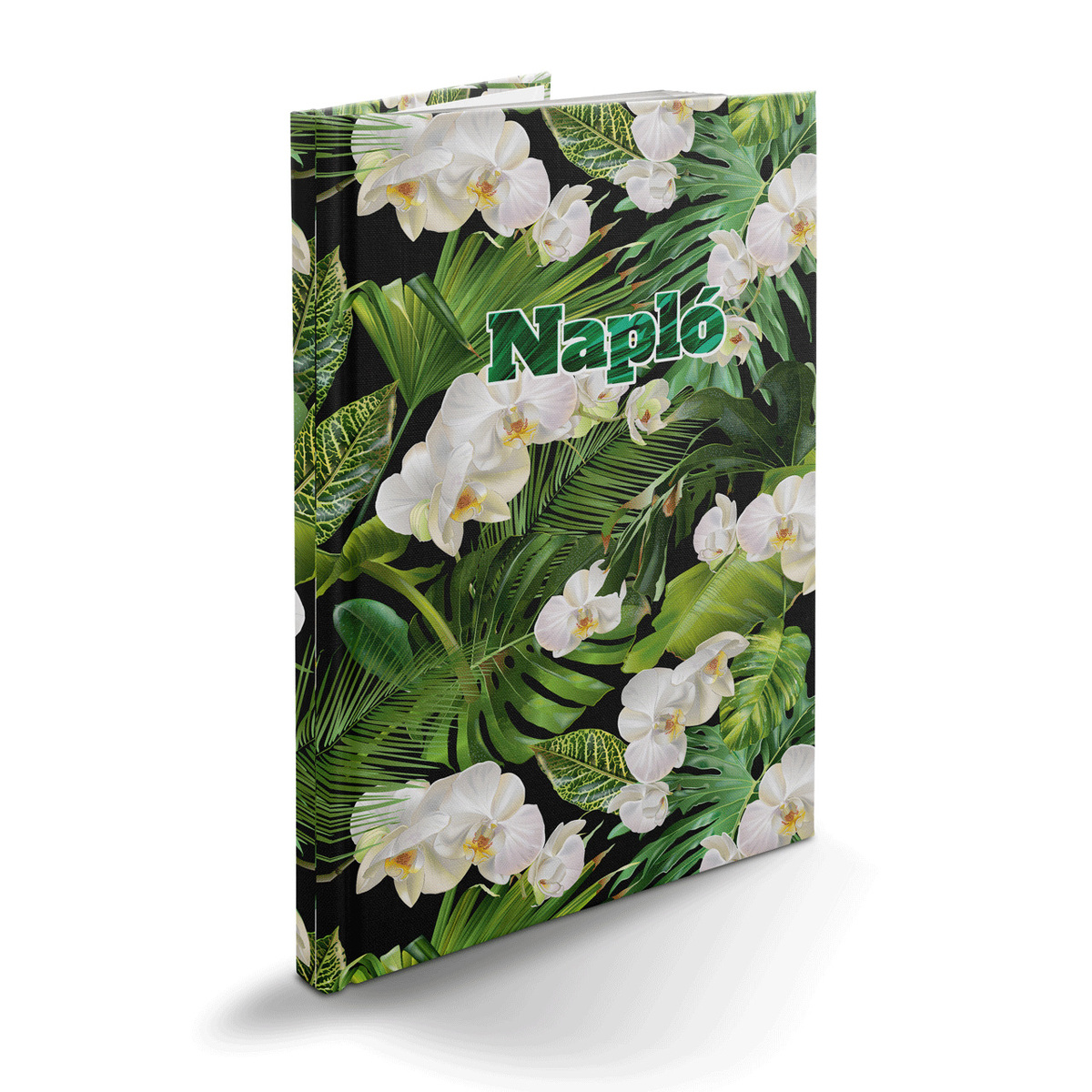 Picture, B5 napló, Tropical Picture, B5 napló, Tropical
