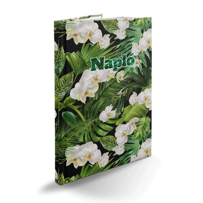 Picture, B5 napló, Tropical