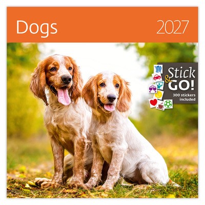 Dogs LP, képes lemeznaptár 2027