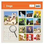 Dogs LP, képes lemeznaptár 2027