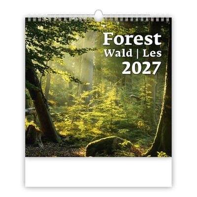 Forest, képes falinaptár 2027