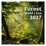 Forest, képes falinaptár 2027
