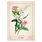 Herbarium, képes falinaptár 2027