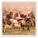Horses LP, képes lemeznaptár 2027