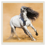 Horses LP, képes lemeznaptár 2027