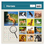 Horses LP, képes lemeznaptár 2027