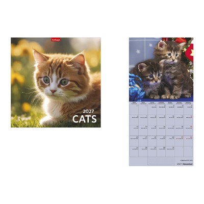 Cats, képes lemeznaptár 2027