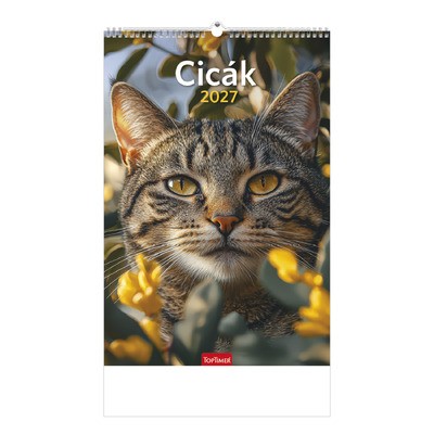 Cicák, képes falinaptár 2027