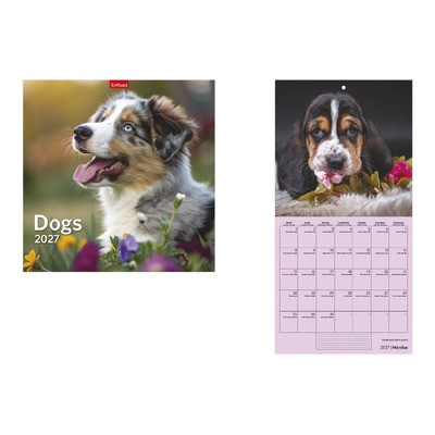 Dogs, képes lemeznaptár 2027