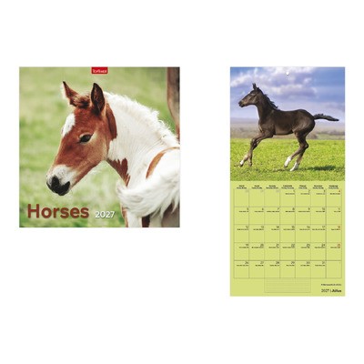 Horses, képes lemeznaptár 2027