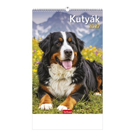 Kutyák, képes falinaptár 2027