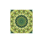 Mandala, képes falinaptár 2027