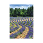Provence, képes falinaptár 2027