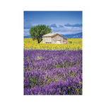 Provence, képes falinaptár 2027