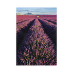 Provence, képes falinaptár 2027